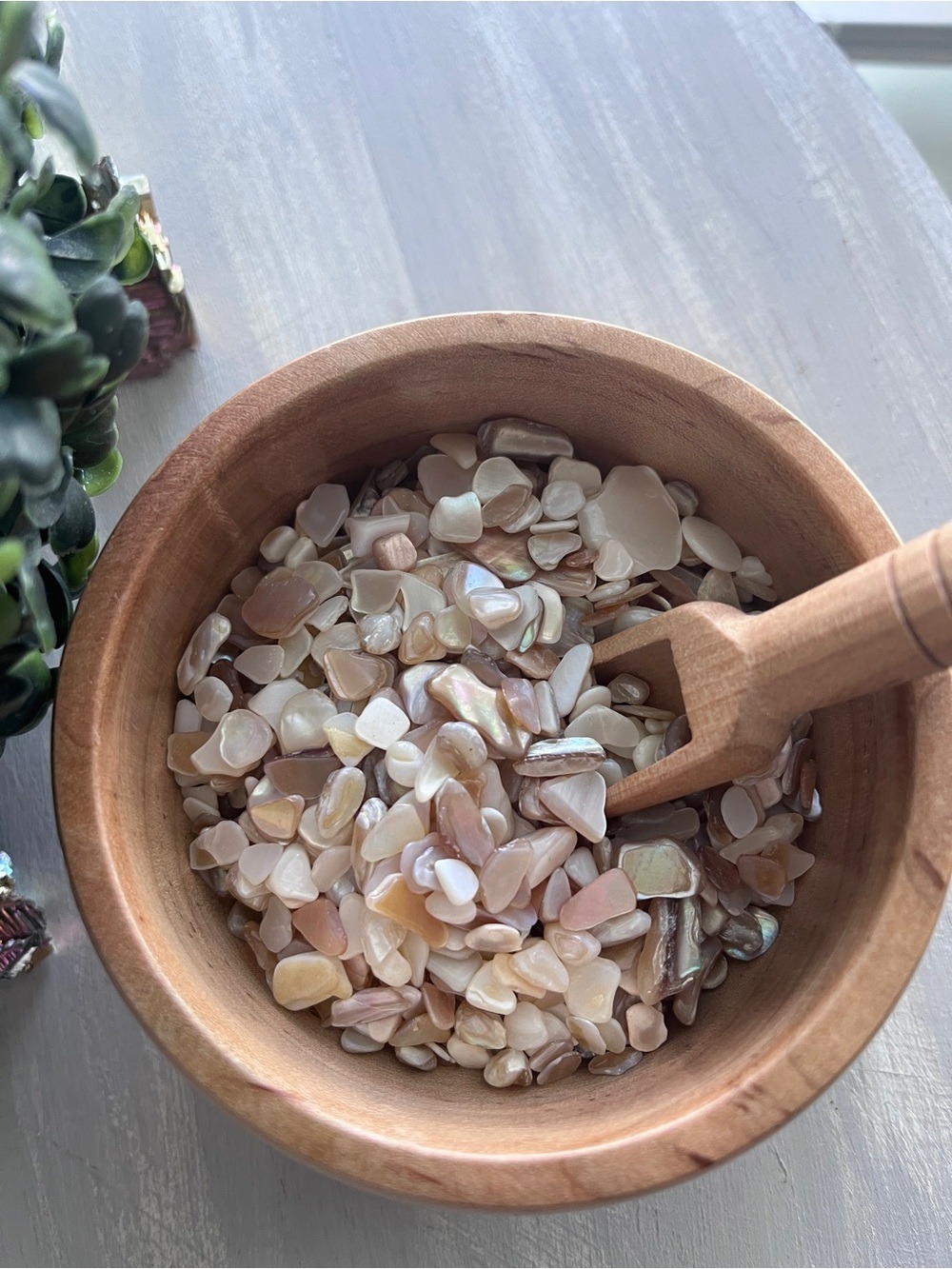 Mother of Pearl Chips for LIVE SHOW